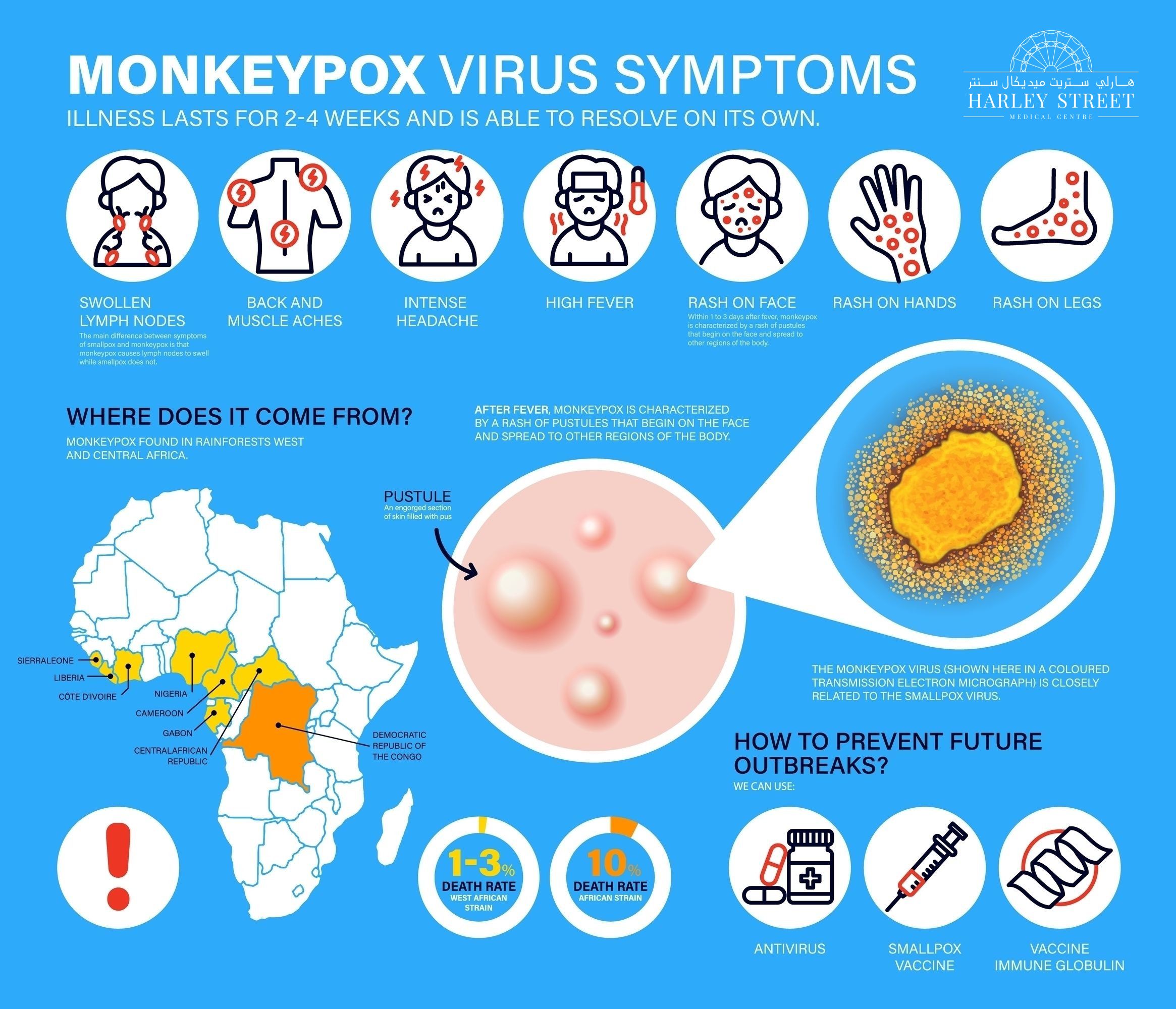 Monkeypox Origin Symptoms Transmission Treatment